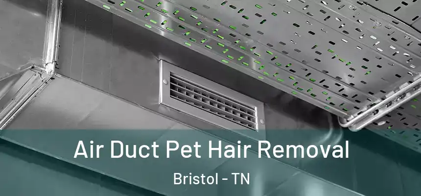 Air Duct Pet Hair Removal Bristol - TN