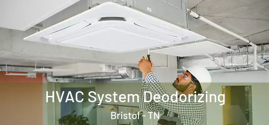  HVAC System Deodorizing Bristol - TN