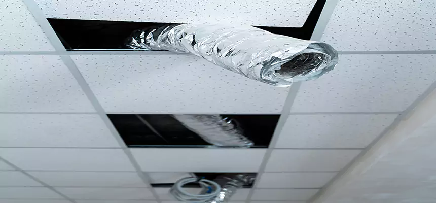 Our Air Duct Pet Hair Removal Services in Bristol, TN