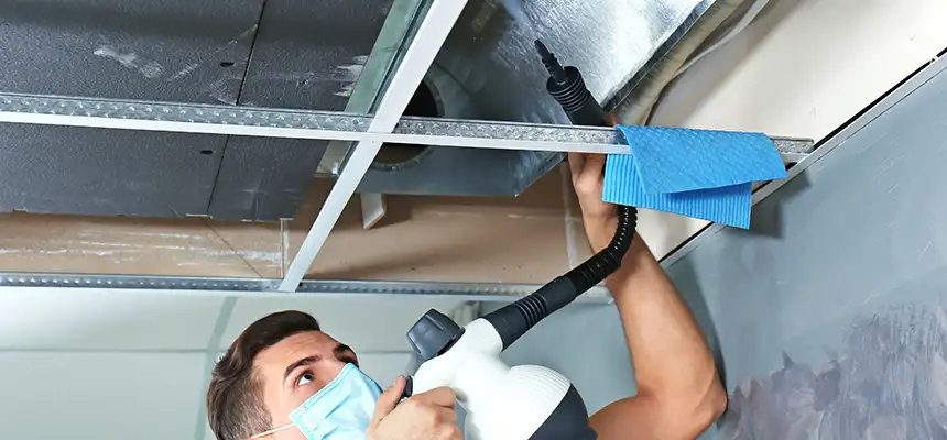 Our Air Duct Rodent Removal Services in Bristol, TN