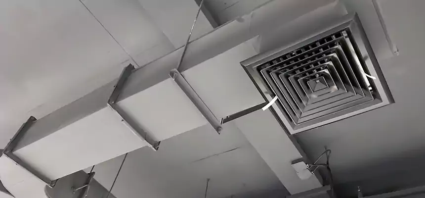 Restorative Allergy Relief Vent Cleaning – Coil, Blower & Housing Detail in Bristol