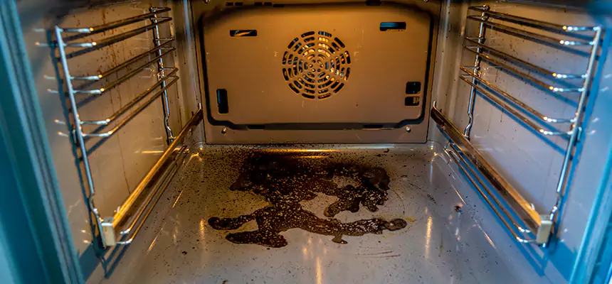 Our Dryer Vent Mold Cleaning Services in Bristol, TN