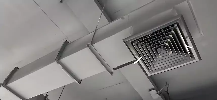 Our Rodent Droppings In Vents Services in Bristol, TN