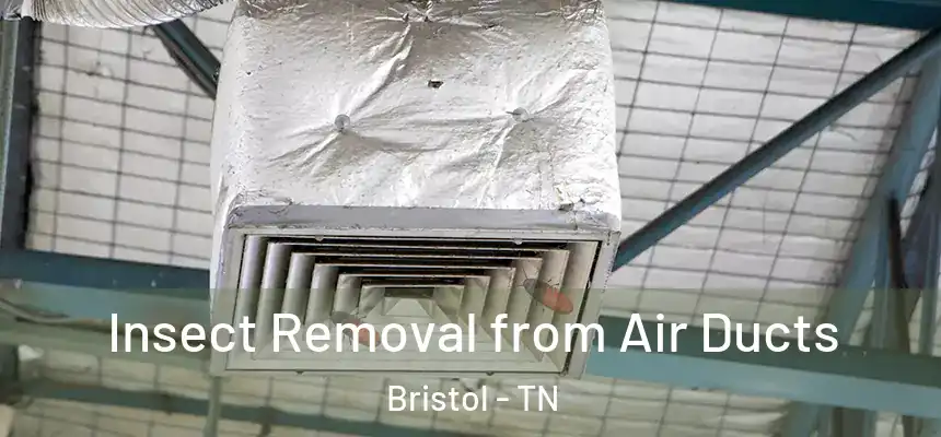 Insect Removal from Air Ducts Bristol - TN