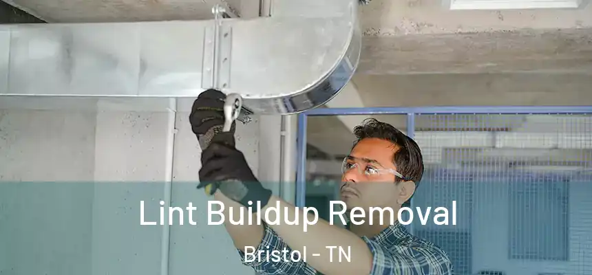  Lint Buildup Removal Bristol - TN