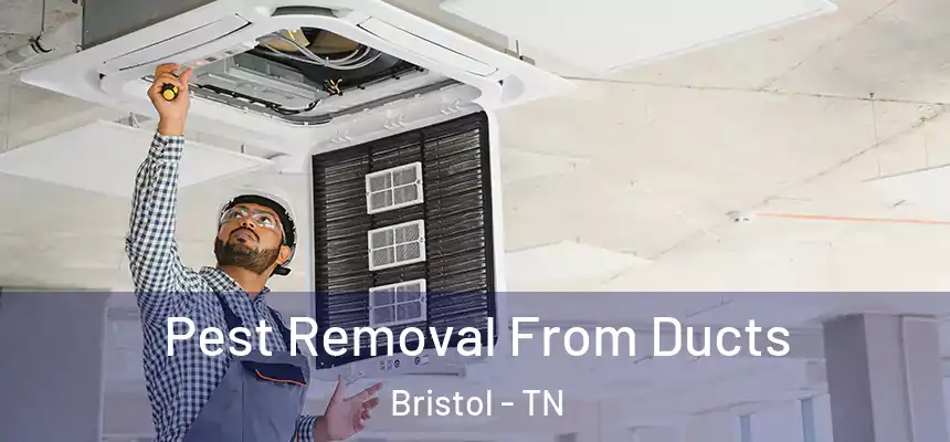  Pest Removal From Ducts Bristol - TN