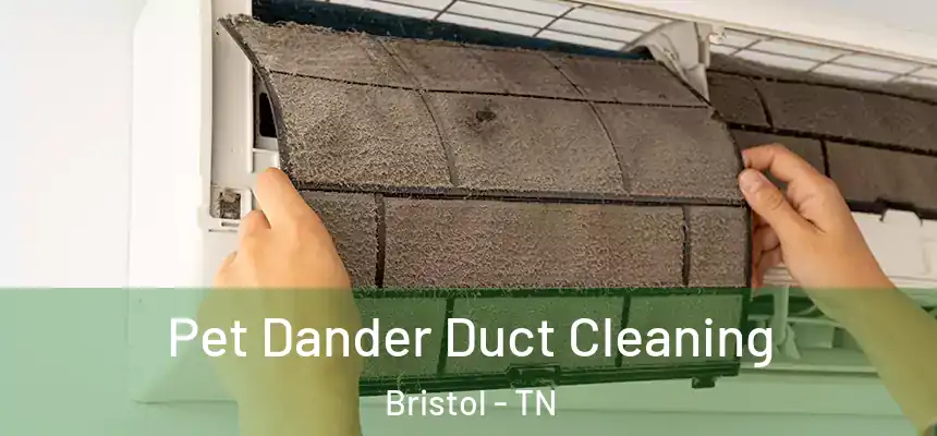  Pet Dander Duct Cleaning Bristol - TN