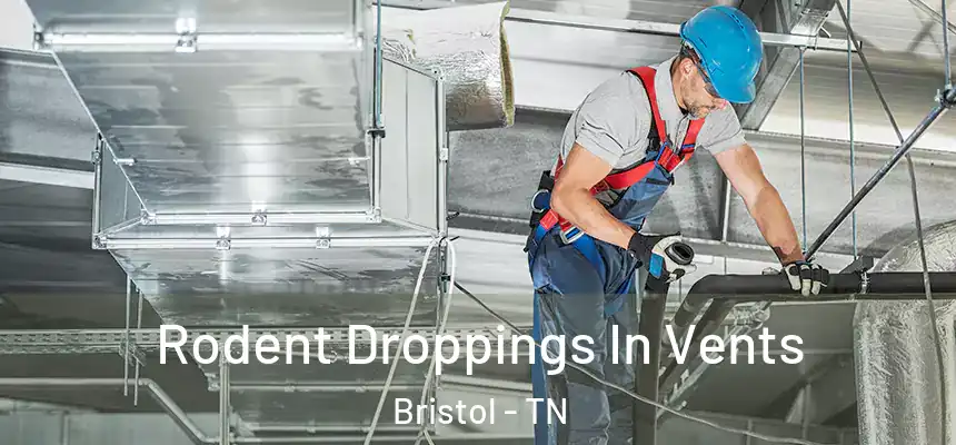  Rodent Droppings In Vents Bristol - TN