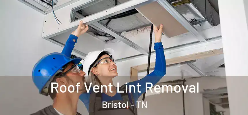  Roof Vent Lint Removal Bristol - TN