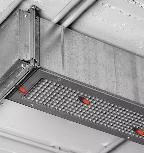 About Air Duct Cockroach Removal in Bristol, TN