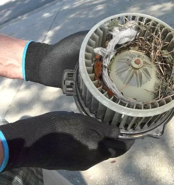 About Air Duct Mice Removal in Bristol, TN