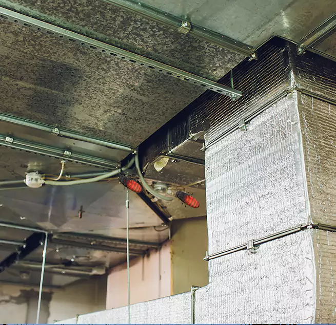 Why Homeowners & Businesses Trust Us in Bristol, TN?