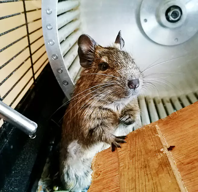 Why Homeowners & Businesses Trust Us Bristol, TN