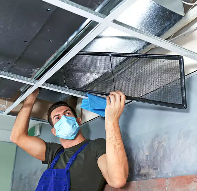 Why Homeowners Businesses Trust Us in Bristol, TN