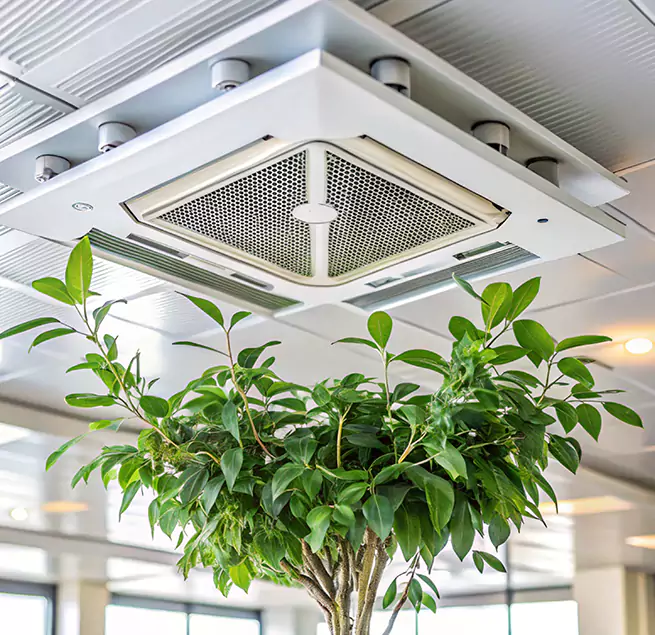 Why Homeowners & Businesses Trust Us in Bristol, TN