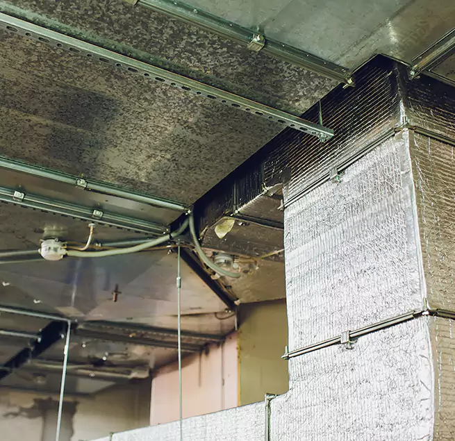 Why Homeowners & Businesses Trust Us in Bristol, TN?